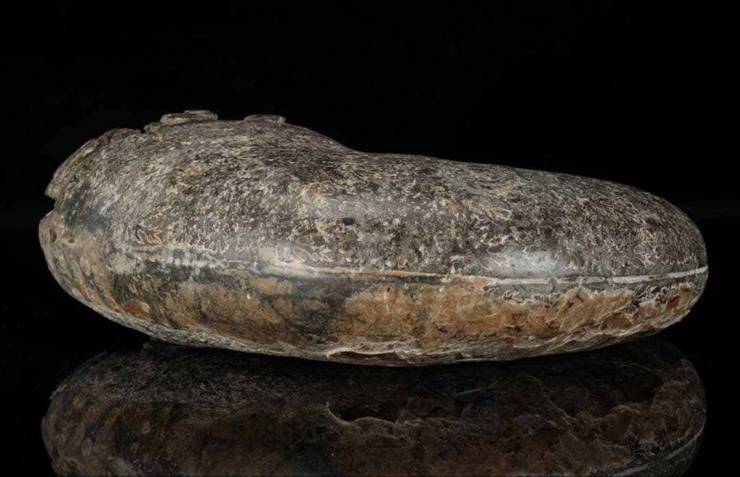 天然アンモナイト化石 重量3.2kg 台座付 古生物標本 鑑賞石 古美術 骨董品