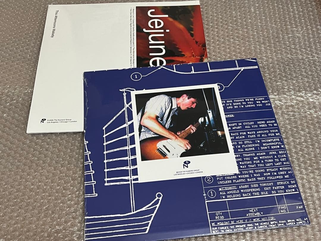 新品 Jejune / Junk This Afternoons malady