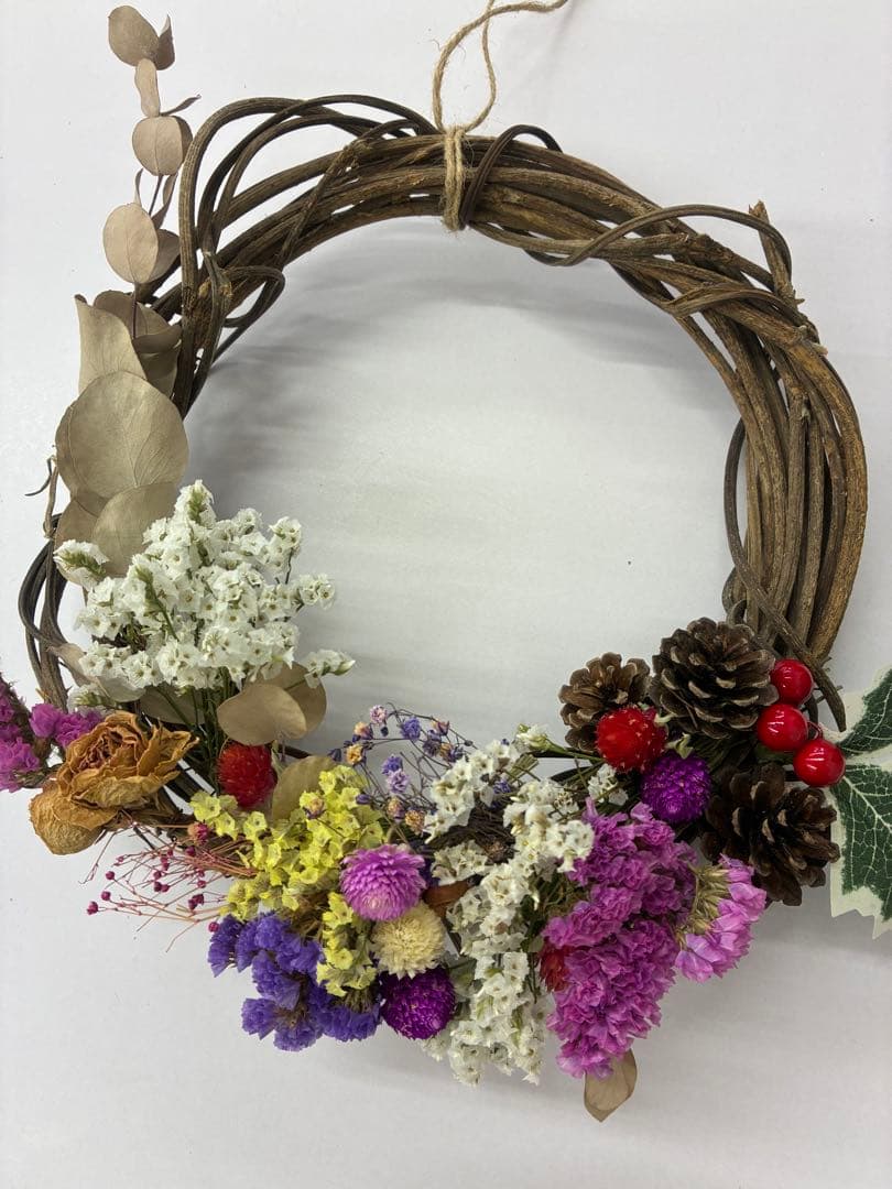 Macデスクトップ hanzo 19 TrailMaster JHL Pro Series TM MX250 Dirt Bike For Sale | Txpowersports