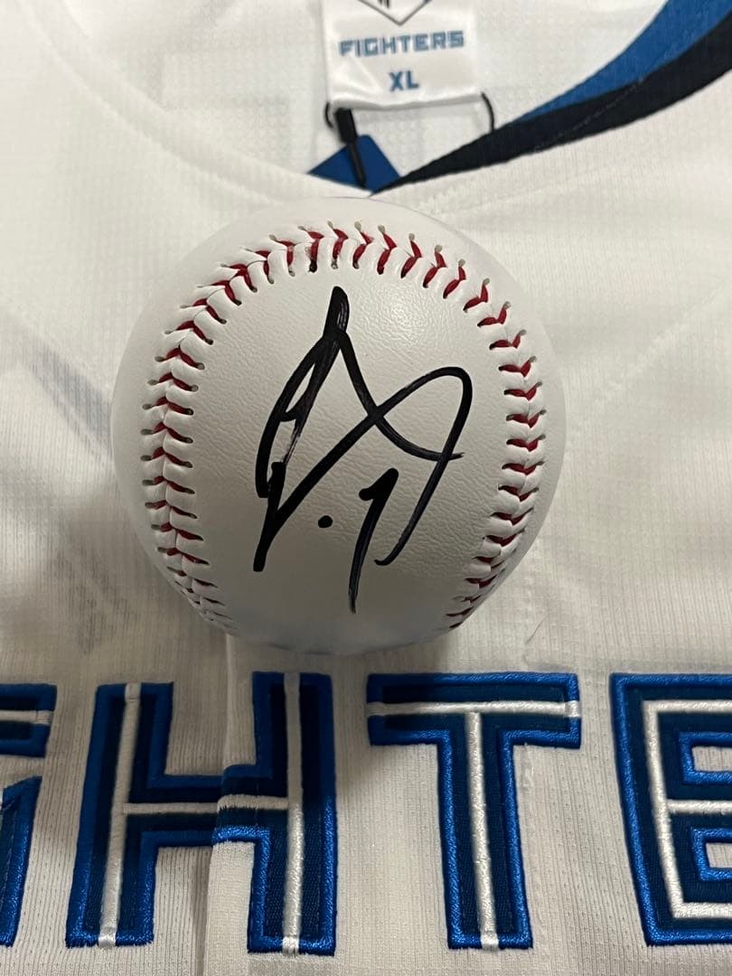 日本ハムファイターズ 伊藤大海 直筆サインボール 2026 沖縄キャンプ球