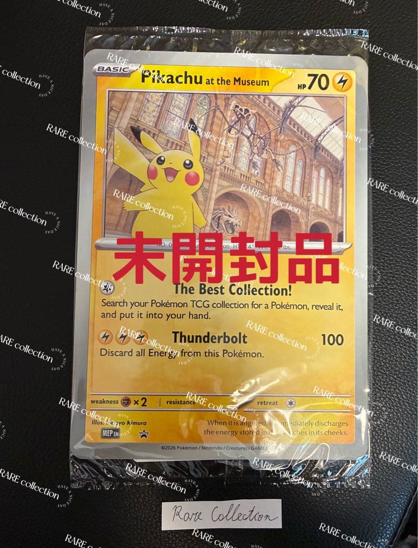 Pikachu at the Museum ピカチュウ ロンドン自然史博物館20 - メルカリ
