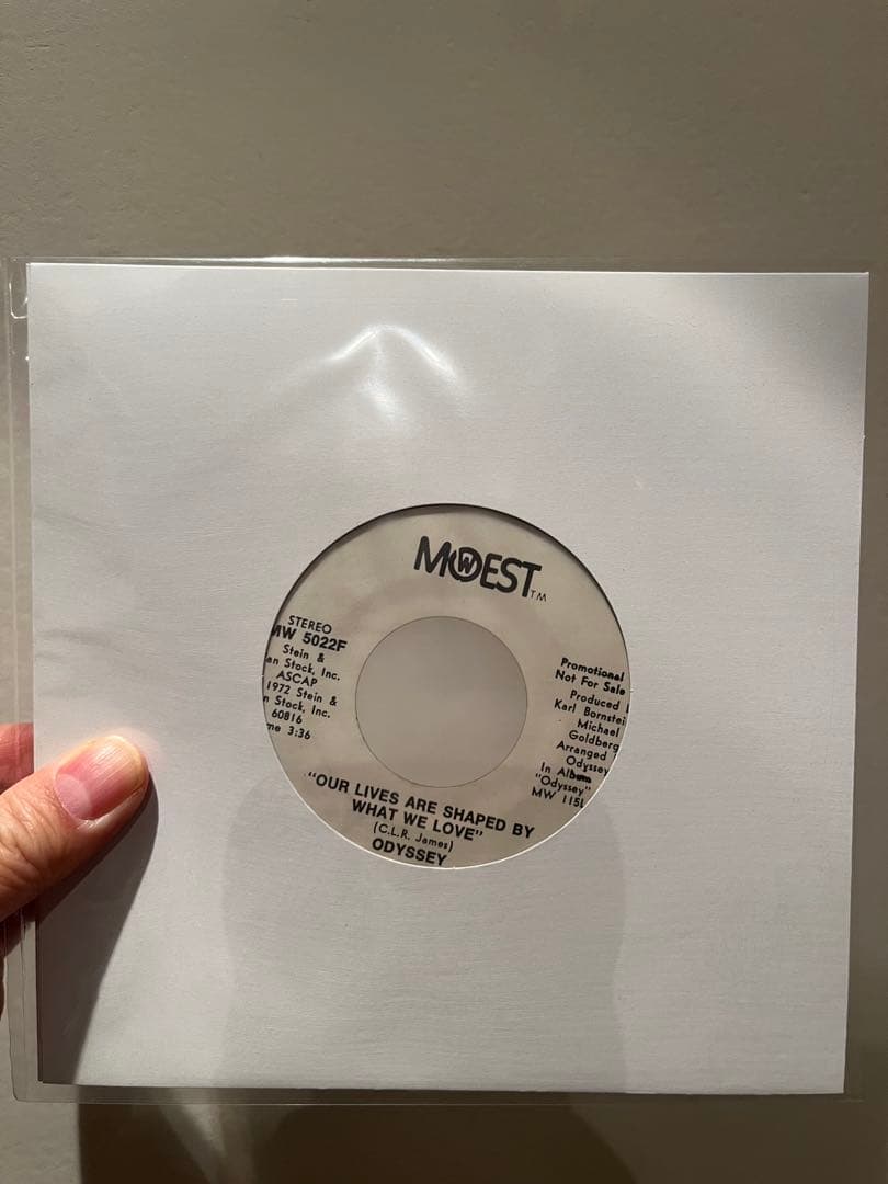 ファンク45 レアファンク　レアソウル　Odyssey MURO SOUL / FUNK / RARE GROOVE (LP+45s) - FUNK 45s - HIP TANK RECORDS