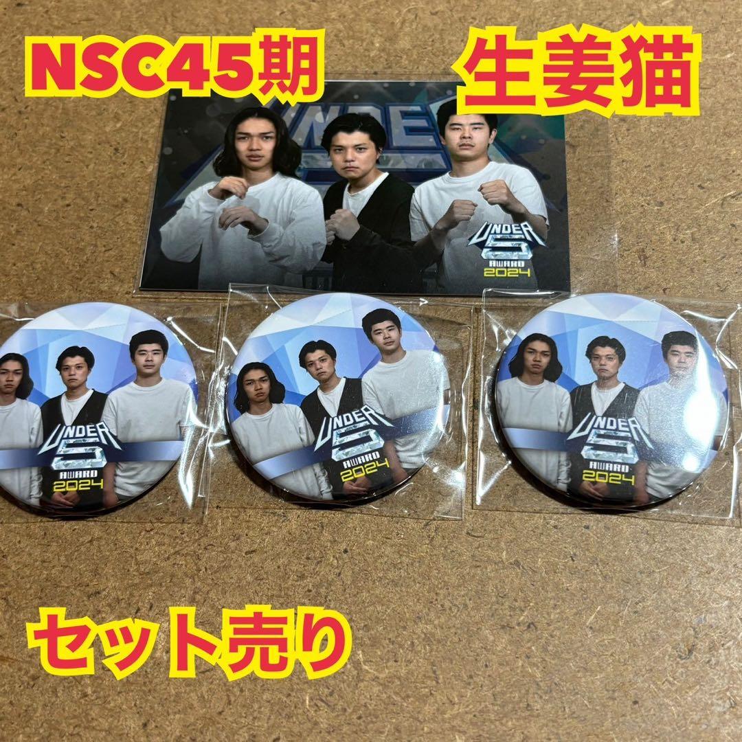 NSC45期生姜猫 - メルカリ