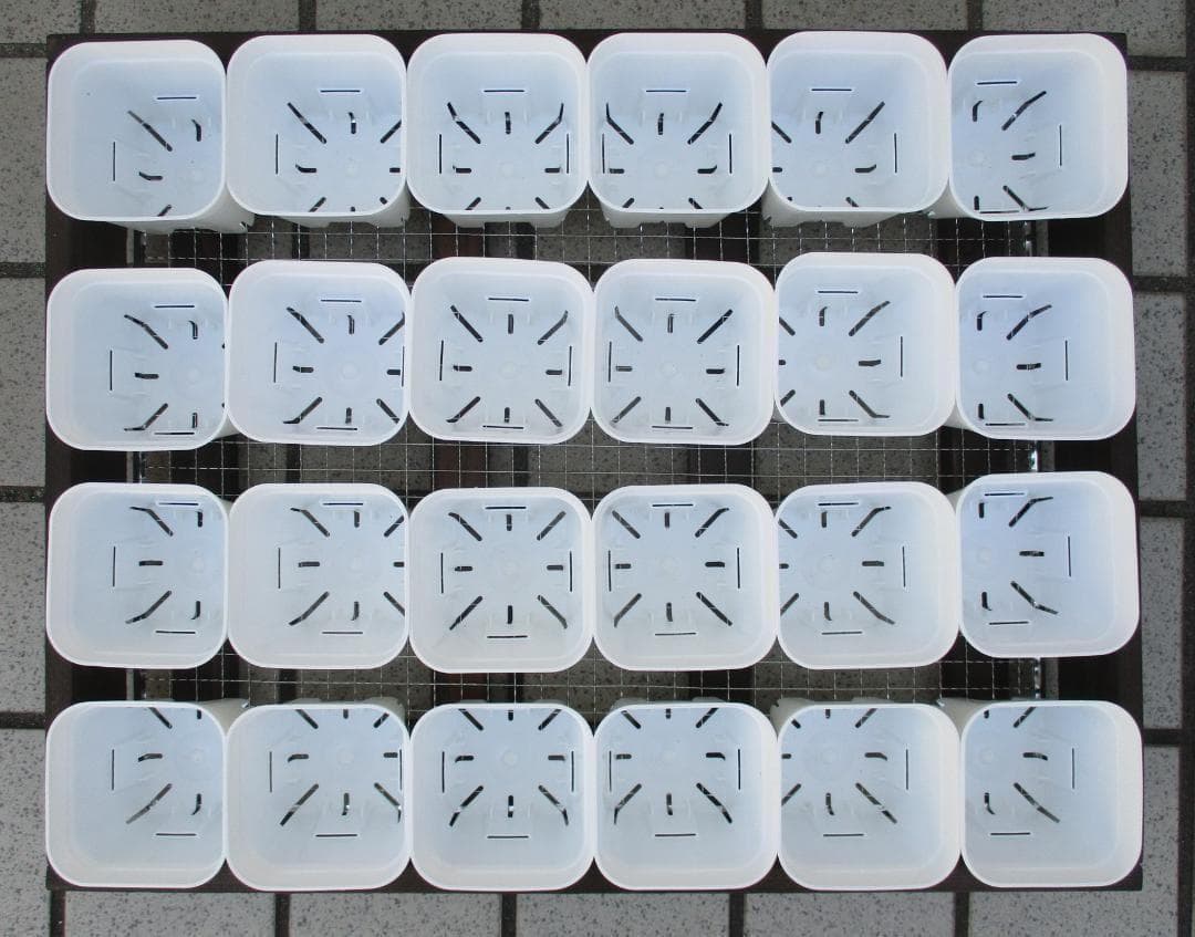 期間限定 5段トレー 多肉棚 プランター スタンド 多肉植物棚 ラック