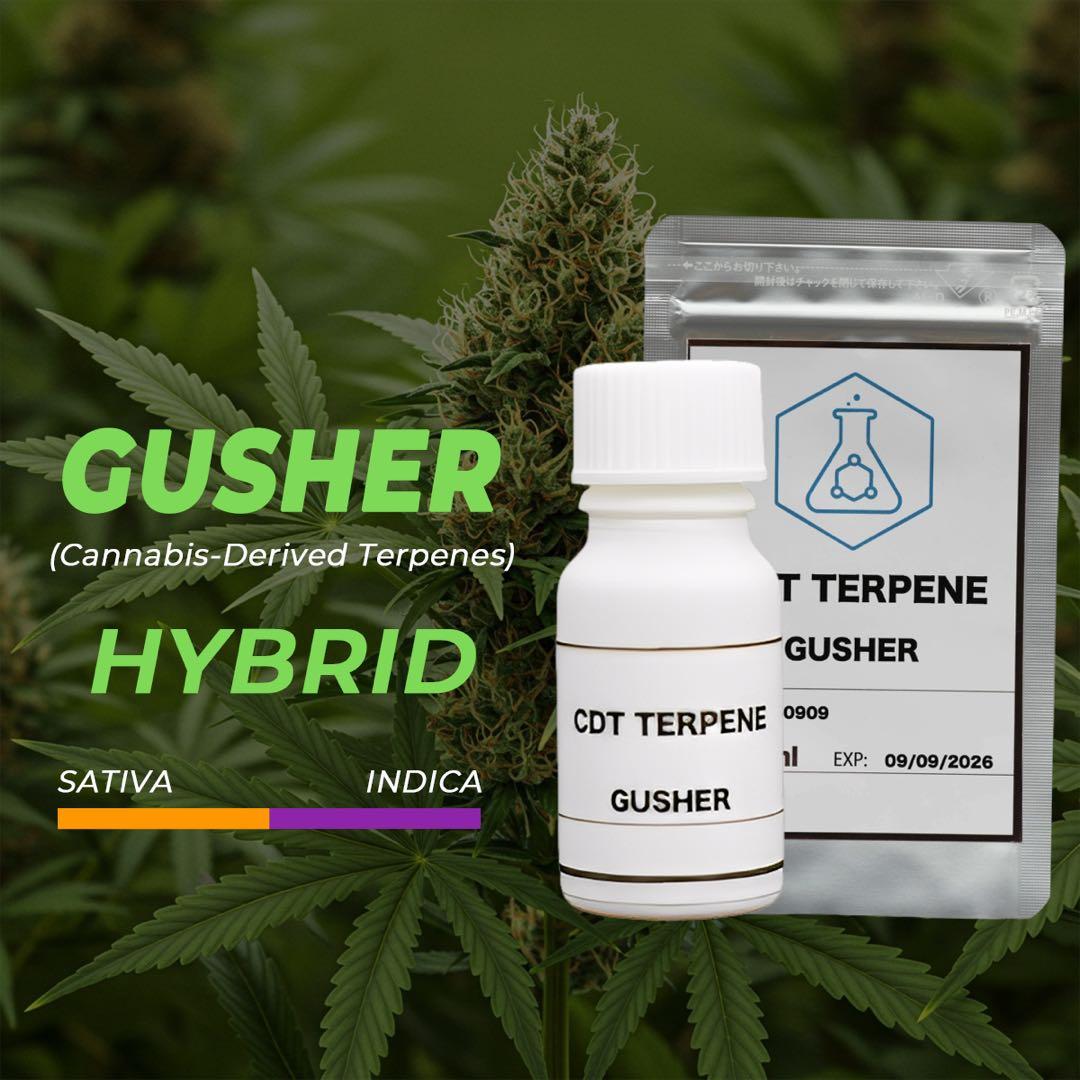 CDT GUSHER (カンナビス由来テルペン) 2ml - メルカリ