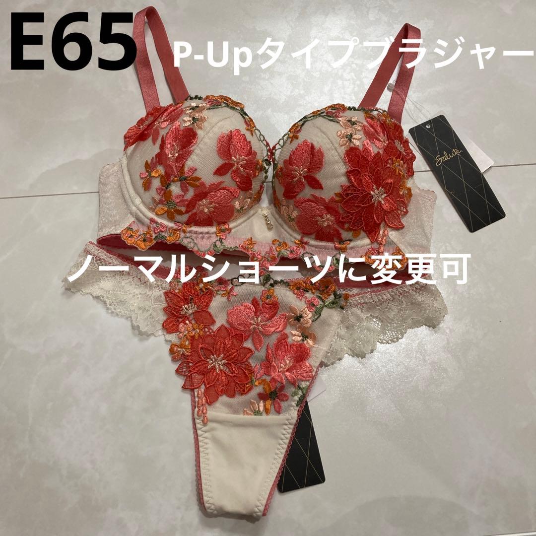 サルート　81G E65 ソング　M BE ワコール サルート 81G ショーツ PTJ481ML ソング Tバック | SALE