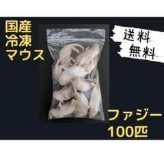 国産冷凍マウス ファジー 100匹 (一部地域発送不可) 国産冷凍ファジーマウス 100匹入り – サイエンスファーム