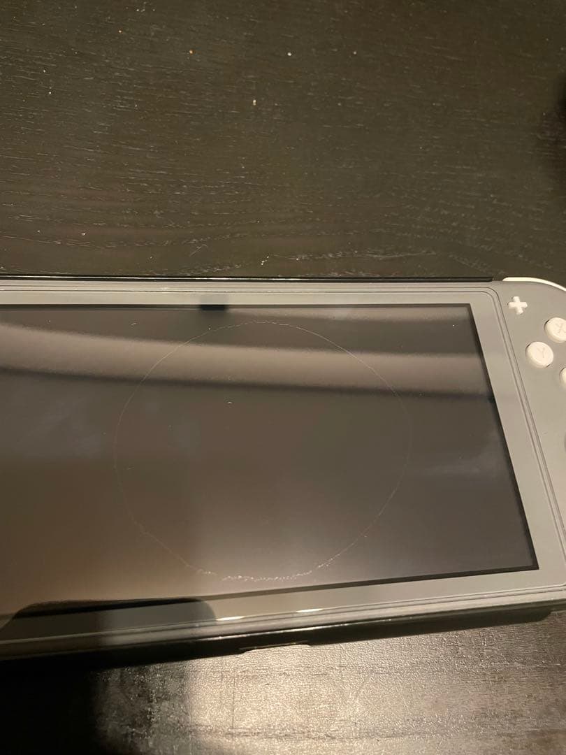 Nintendo Switch Lite グレー 本体とケース付き