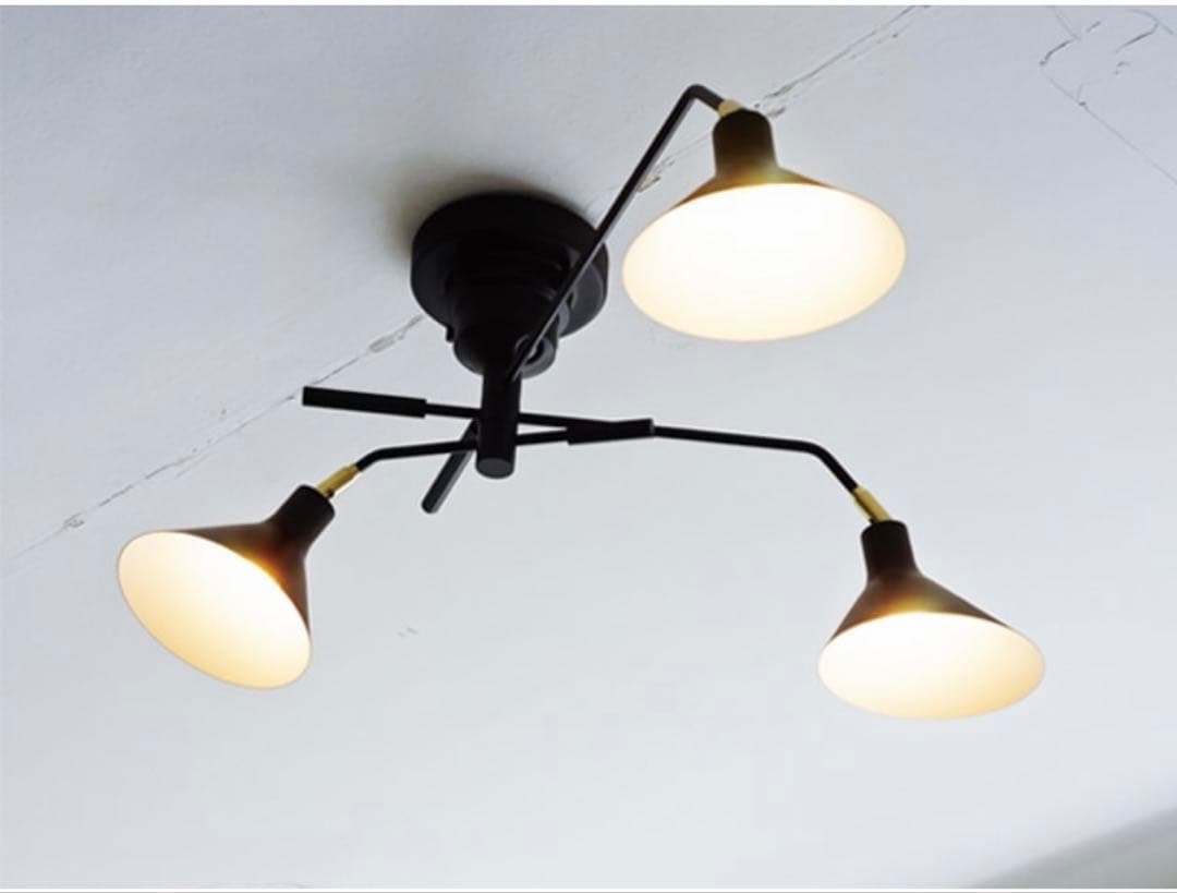 Panasonic NNFB 93615C 天井用電球 30W