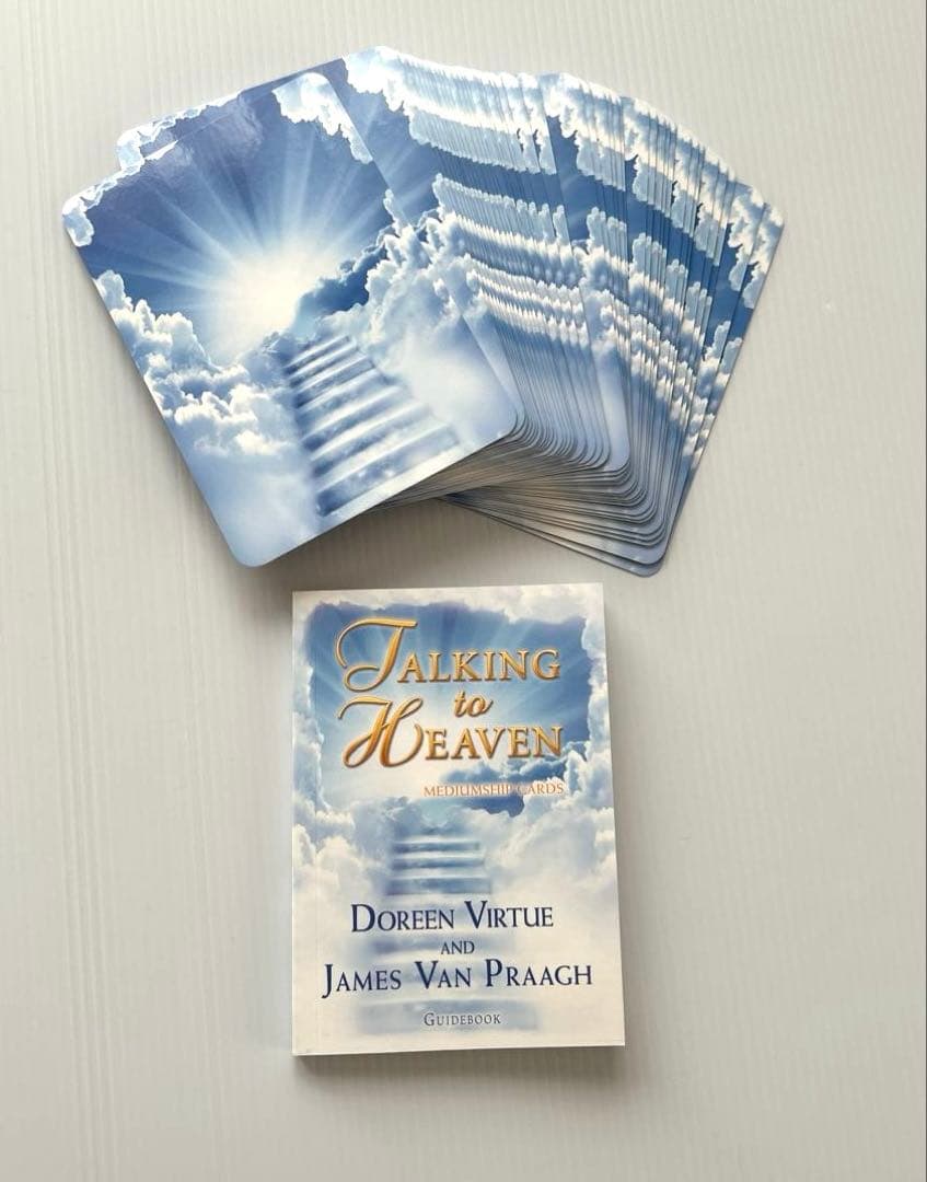 トーキングトゥヘブンミディアムシップカード