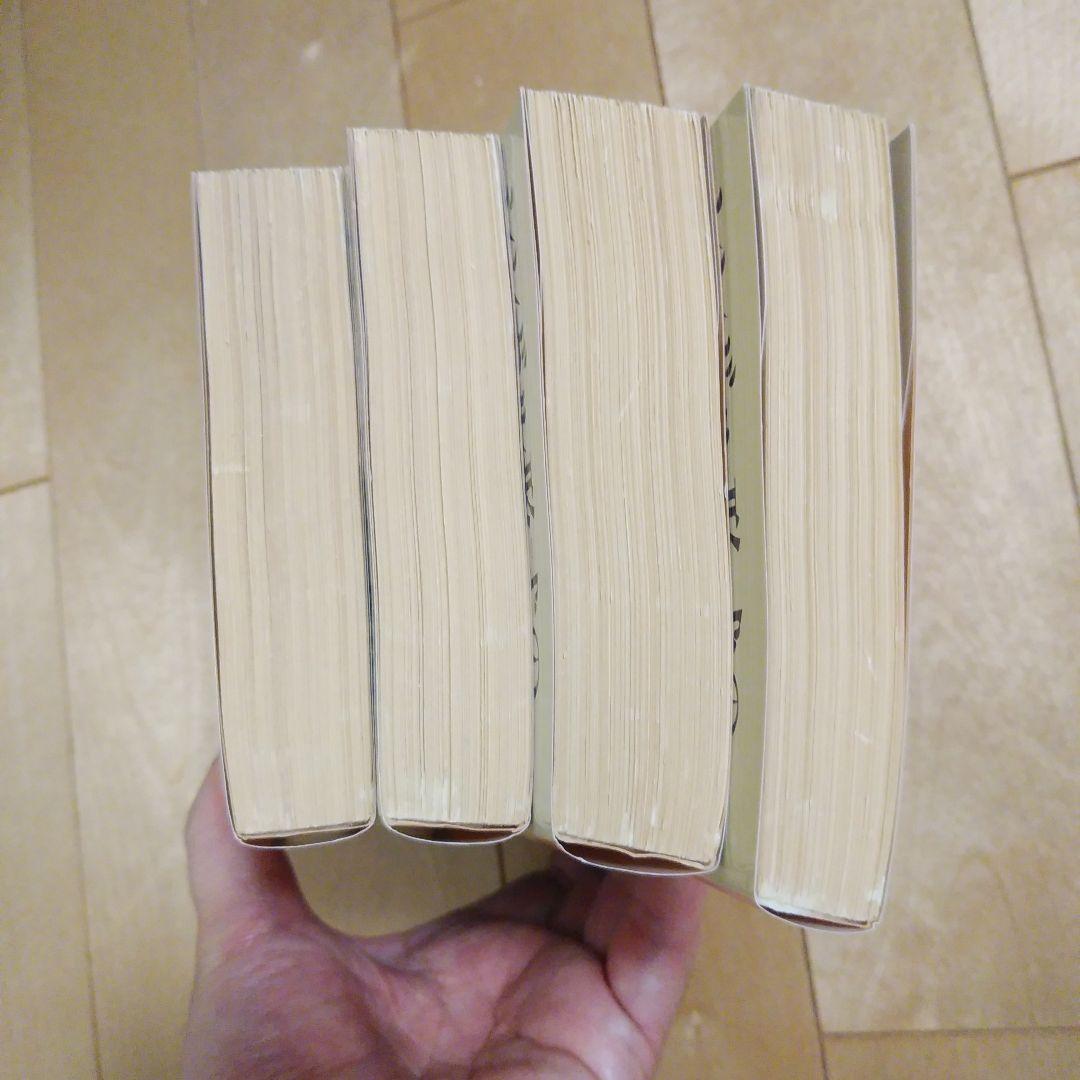 シンボル形式の哲学 1~4 全4巻セット カッシーラー 岩波文庫 - メルカリ