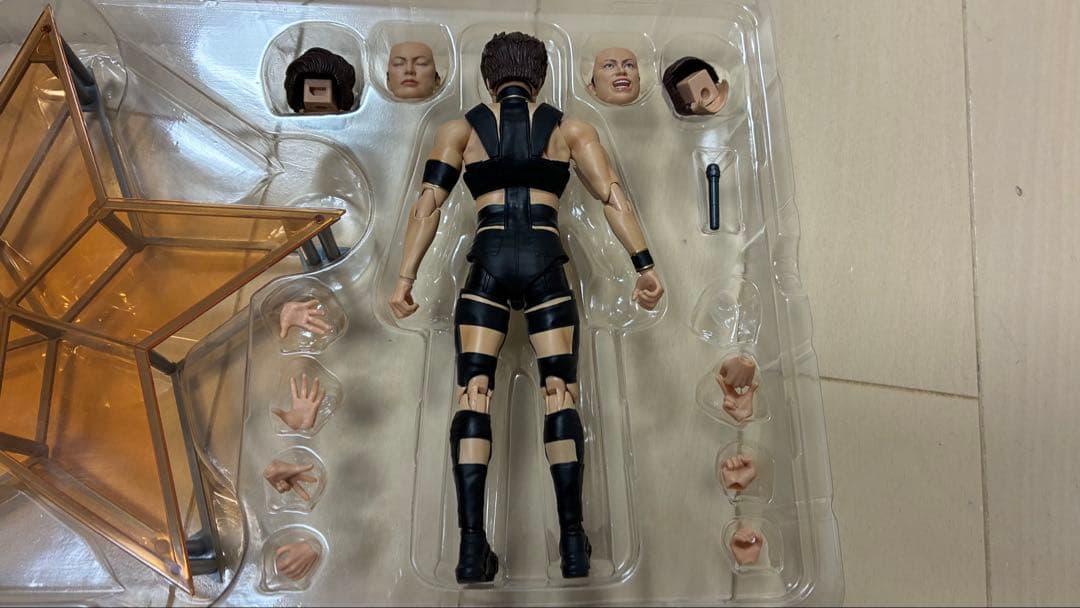 その他 T.M.Revolution SHFiguarts