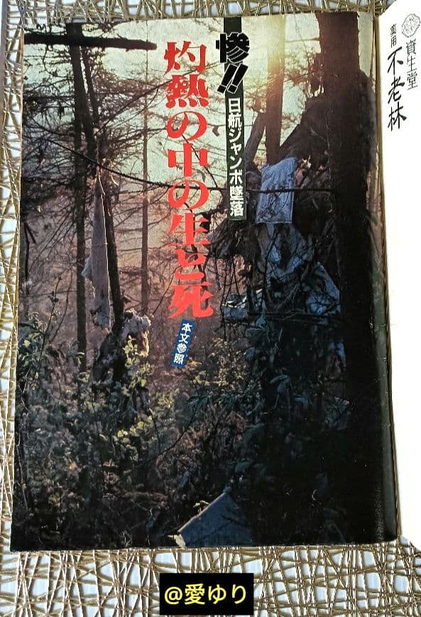 ♢日航ジャンボ機墜落事件❄️関連誌全5冊⭐御巣鷹山⭐事故調⭐ボイス