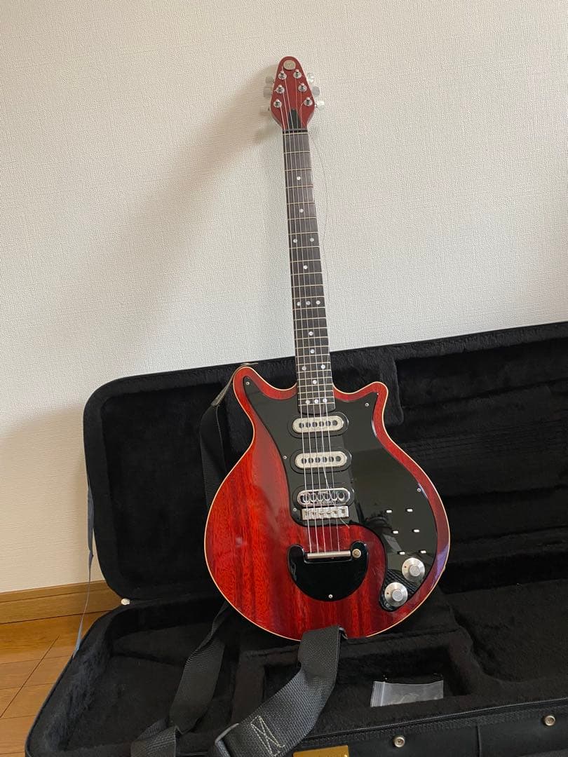 い*ぬ様 レッドスペシャルブランメイモデル ケース付き