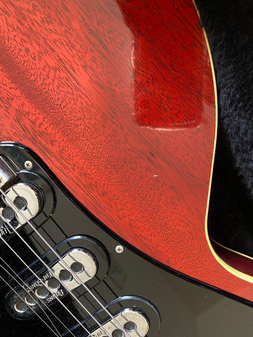 い*ぬ様 レッドスペシャルブランメイモデル ケース付き