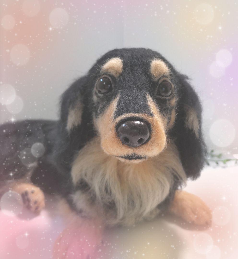 eiyu♡うちの子オーダー♡羊毛フェルト♪ハンドメイド☆ 羊毛フェルト【オーダーメイド】うちの子オーダー✴︎犬✴︎愛犬