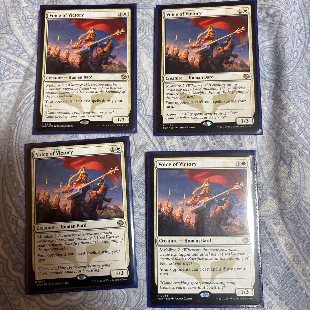 勝利の楽士 英語4枚セット 👔