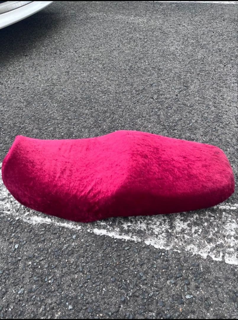 バリオス2型 赤 チンチラシート 値下げ可 - メルカリ