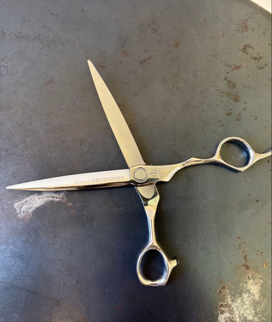 さらに値下げしました【ミズタニシザー】ACROCROSSOVER CR2 6.7 - メルカリ