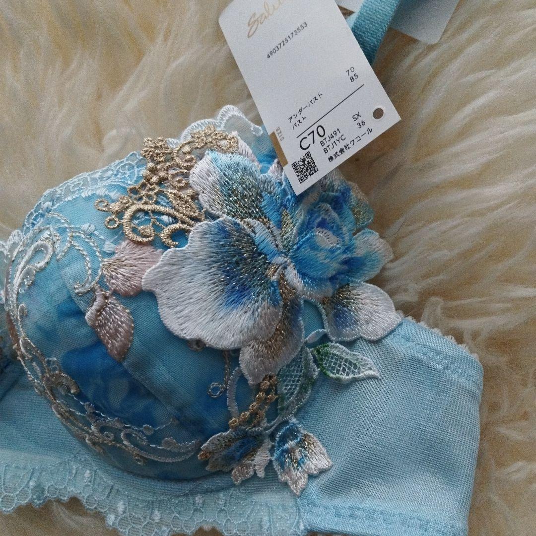 salute サルート 91G 91グループ C70 M セット SX - メルカリ