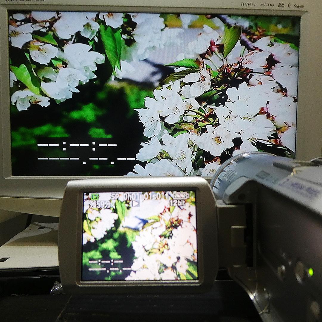 美品・動作良好 パナソニック NV-GS250 MiniDVビデオDVD化に最適