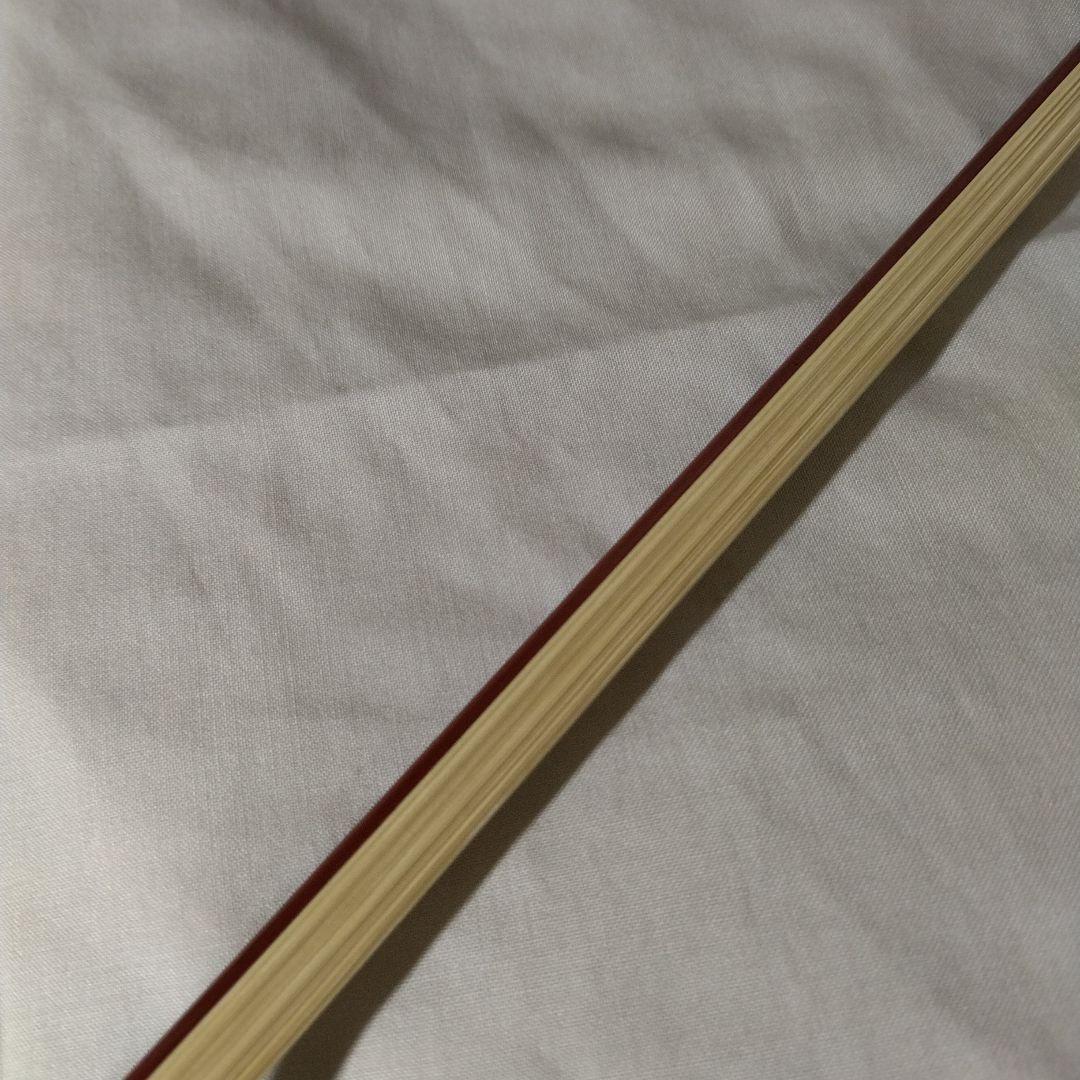 ♥大特価♥新品未使用♥Staggバイオリン4/4♥弓、ケ―ス、松脂付き