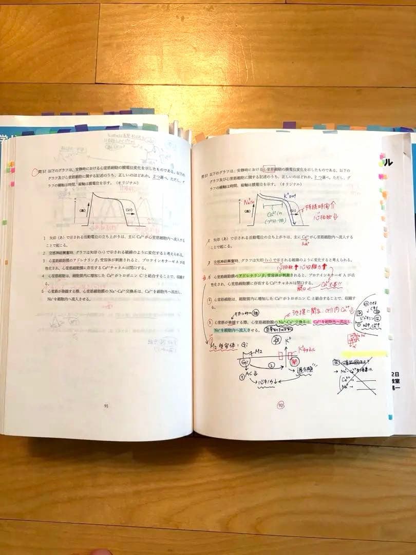 書き込みあり！】薬ゼミ/弱点克服問題集(白問)第110回薬剤師国家試験