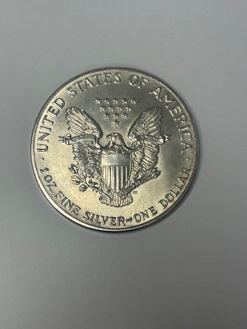 アメリカ 1ドル シルバー 31.3g
