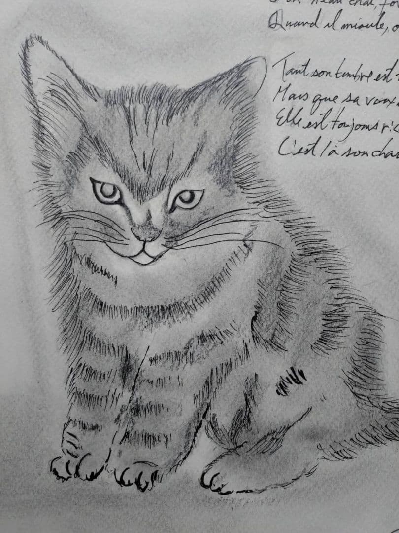 藤田嗣治【座る子猫】手描き作品/表裏サイン有り/鉛筆/逸品/額縁/額装