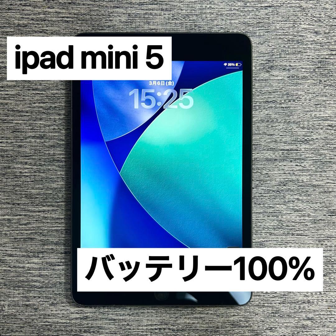iPad mini 5 本体 バッテリー100% 第5世代 Wi-Fiモデル - メルカリ