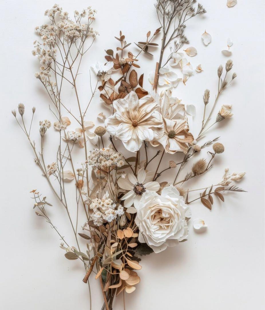 ジャケット・アウター sealine Sisii シシ 186-OL MARINE JACKET マリンジャケット 本革 レザー