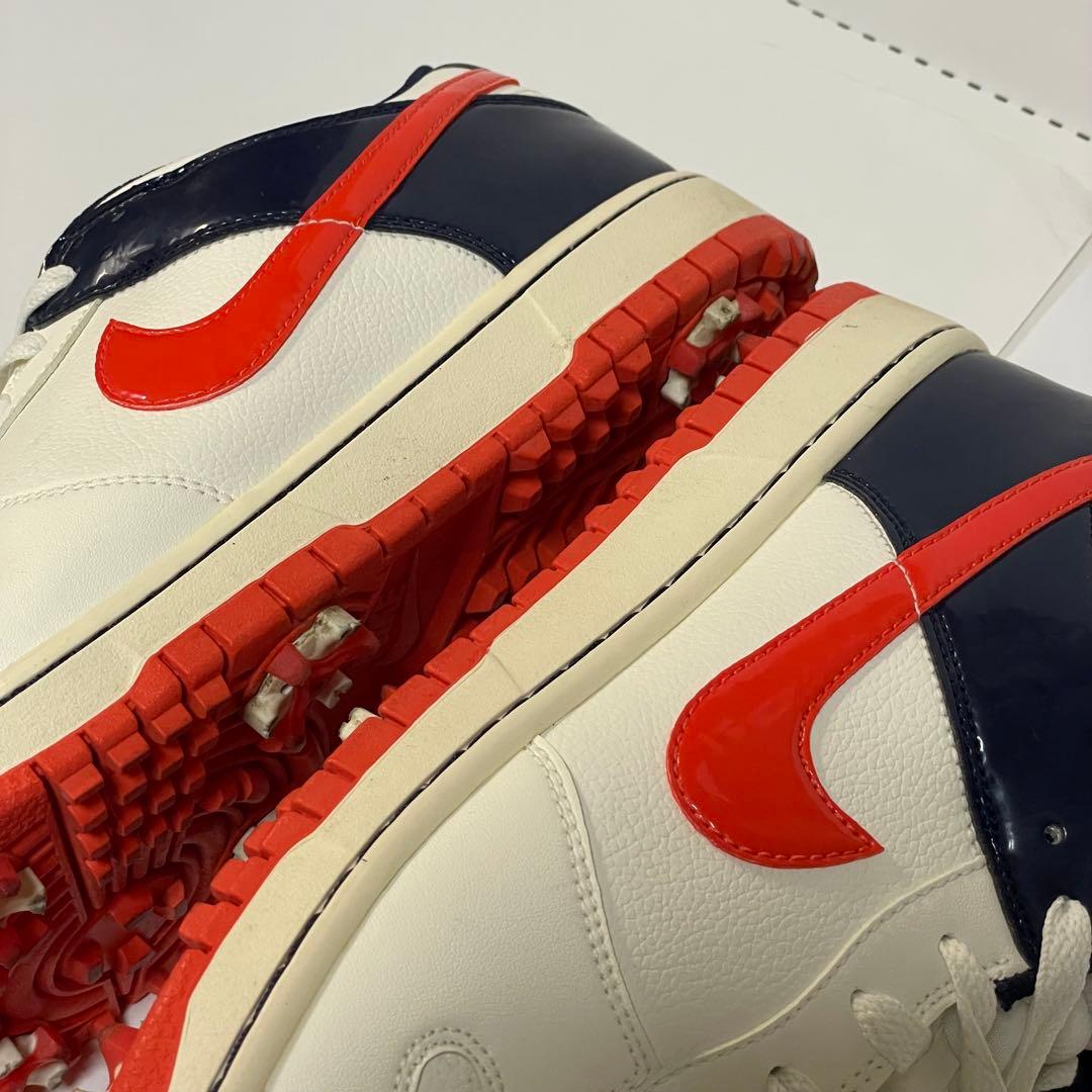 シューズ(男性用) NIKE GOLF DUNK NG SL / 28.5cm