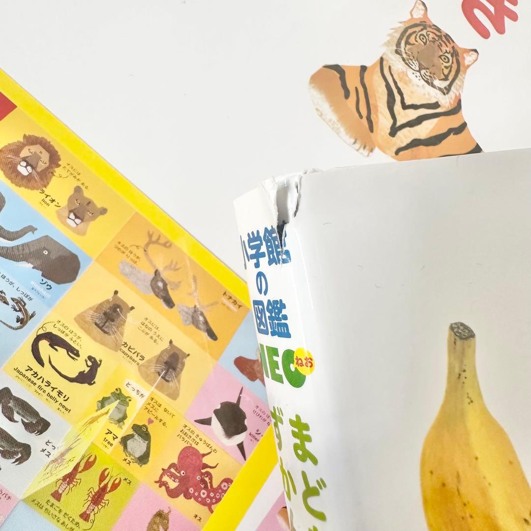 はな　プロフ必読　様　⭐️専用⭐️