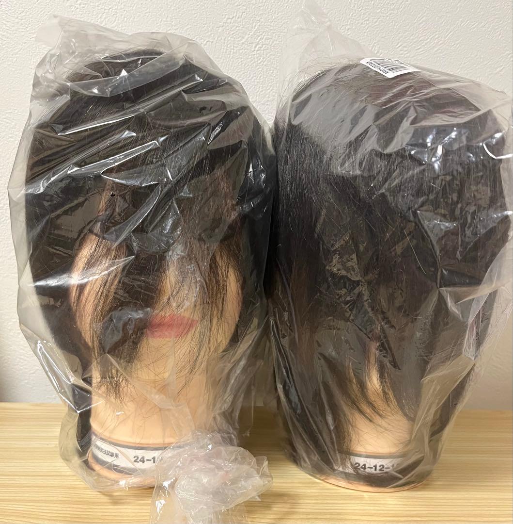 新品未使用】美容師国家試験 本番用カットウィッグ2体セット【送料込み