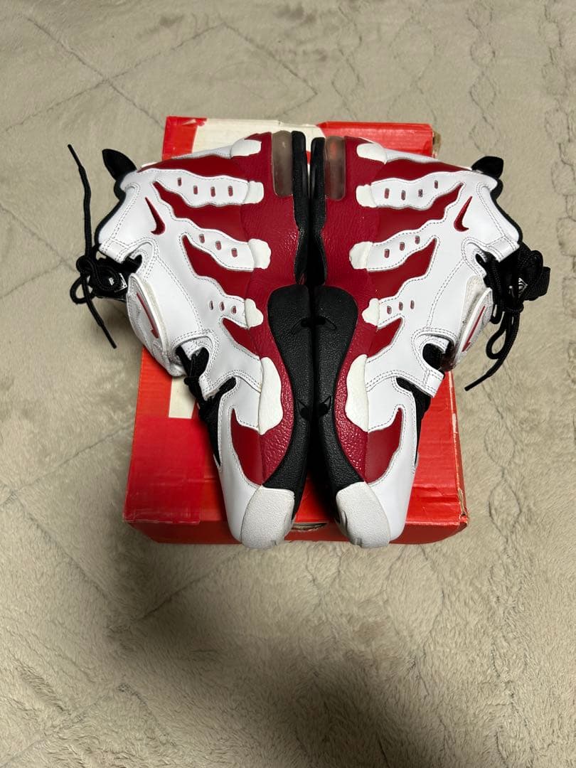 【美品】NIKE AIR DT MAX 96 27.5cm 古着