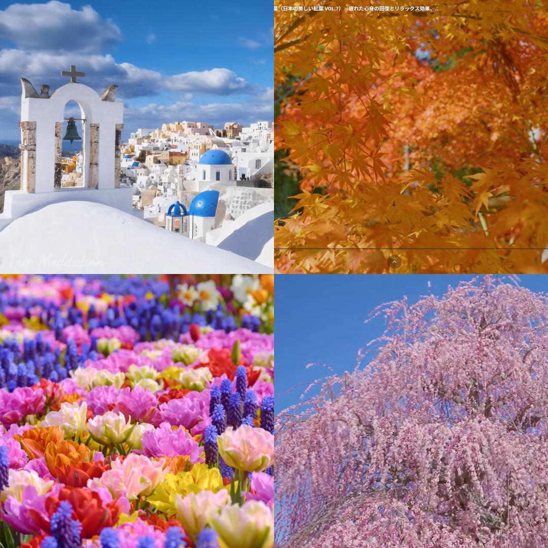 第8世代DynabookEX/5GG i5-8250U SSD256G M16G - メルカリ