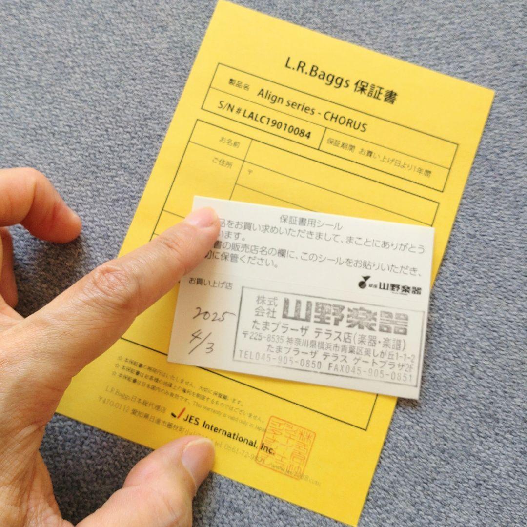 L.R. Baggs Align Series CHORUS 保証書付属