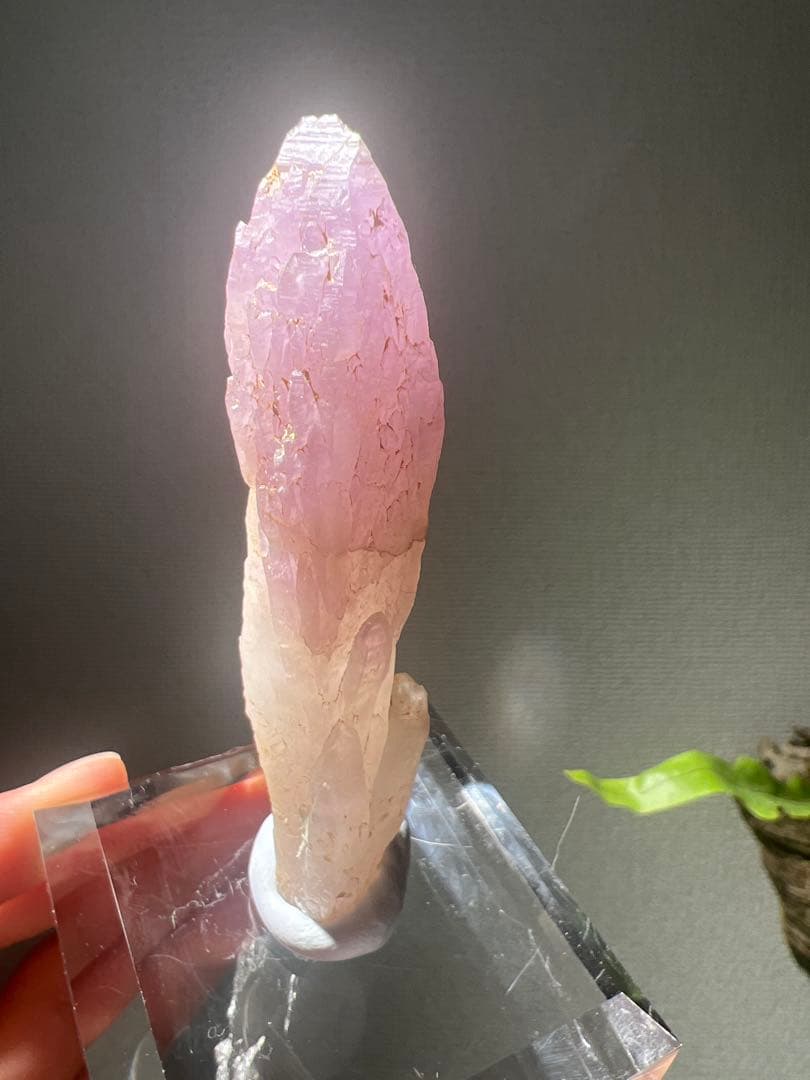 国産鉱物 富井鉱山 紫水晶 - メルカリ