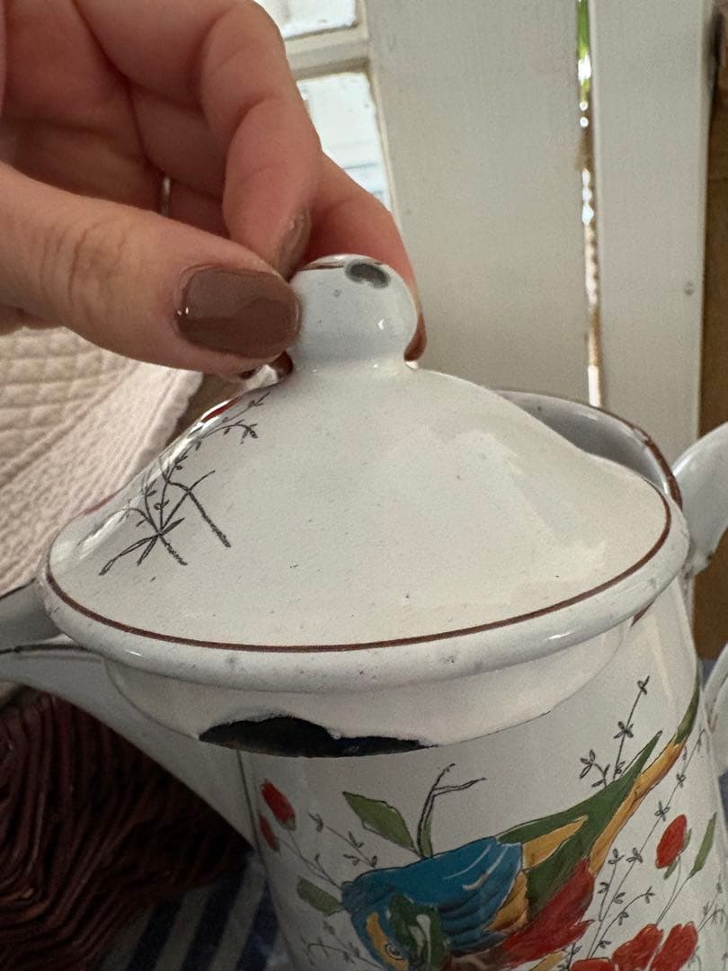 フランスアンティーク ホーロー 花と鳥の絵 M109341742 - アンティーク