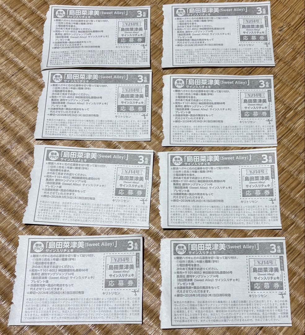 ヤングジャンプ14号☆抽プレ懸賞応募券8枚☆島田菜津美☆サイン入り