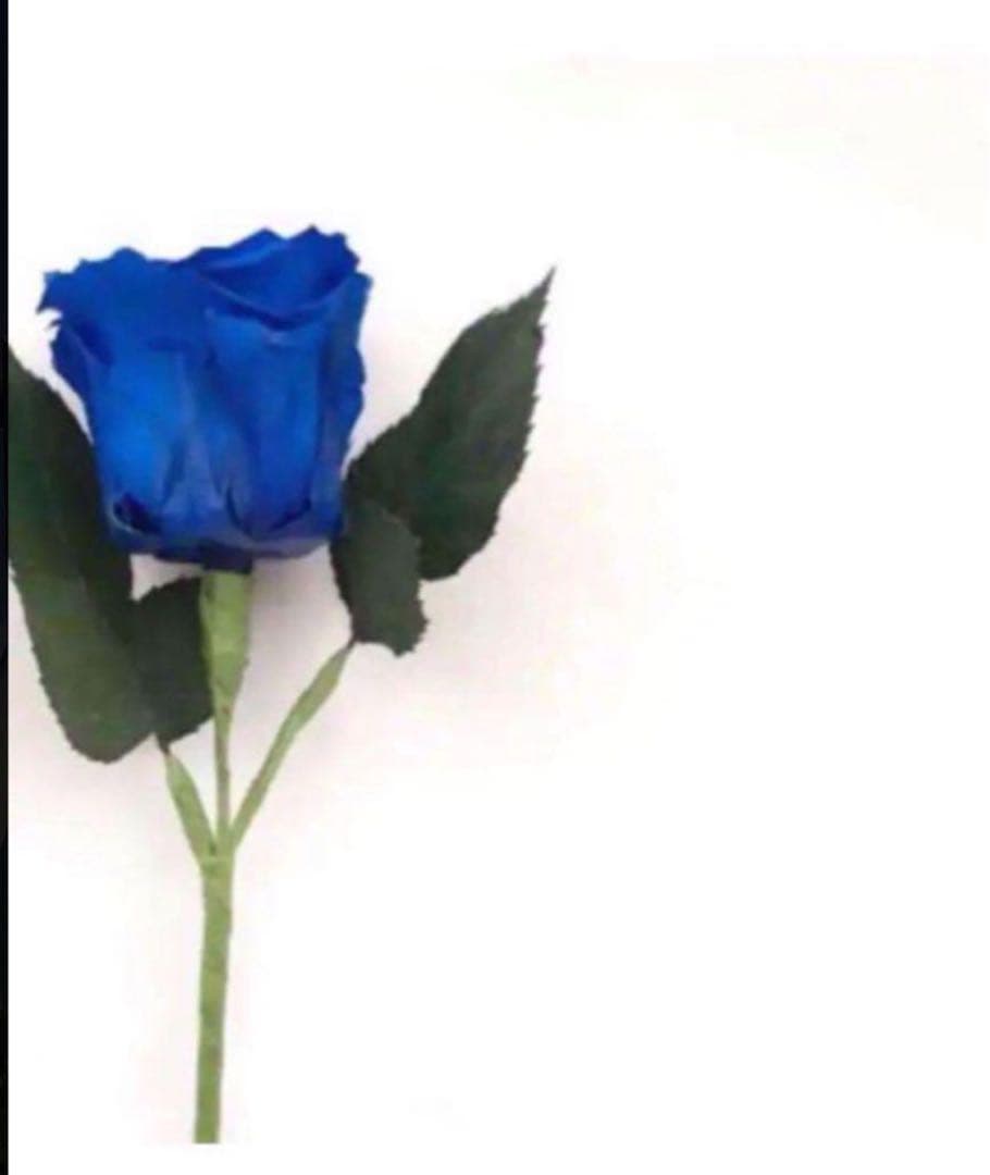 ナツ 3点 洗顔 他 モイストC ジェル泡洗顔 リラックスハーブの香り リッツ 150ML