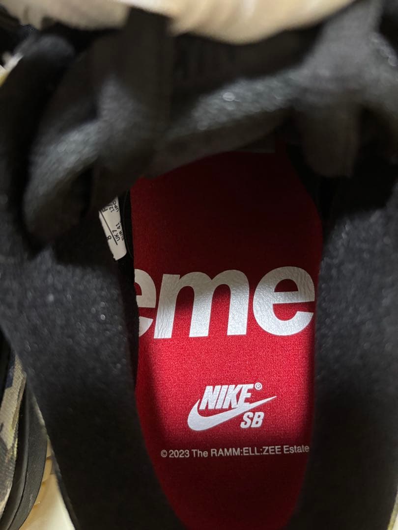 Supreme × Nike SB Dunk Low \"Rammellzee\"
