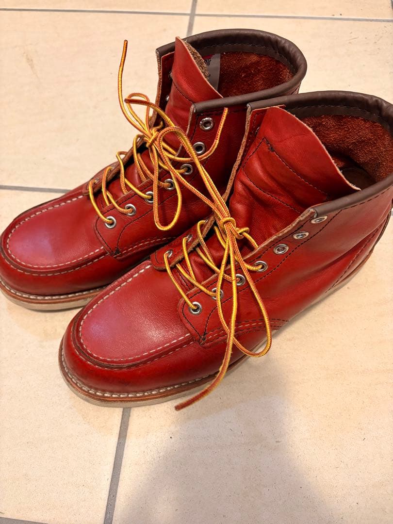 レッドウイング　犬タグ　8875 E 26センチ