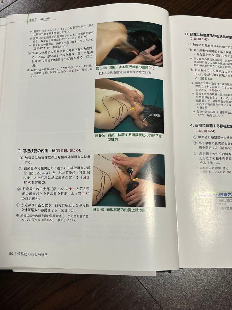 骨格筋の形と触察法 - メルカリ