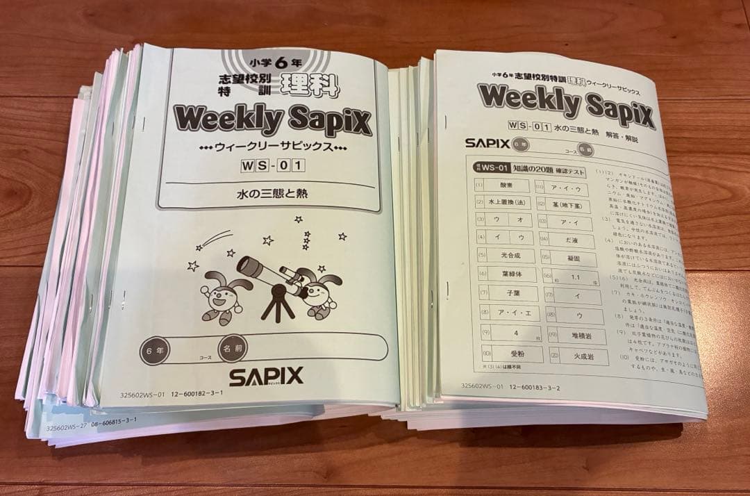 SAPIX ウィークリーサピックス 理科 6年 土特 テキスト フルセット
