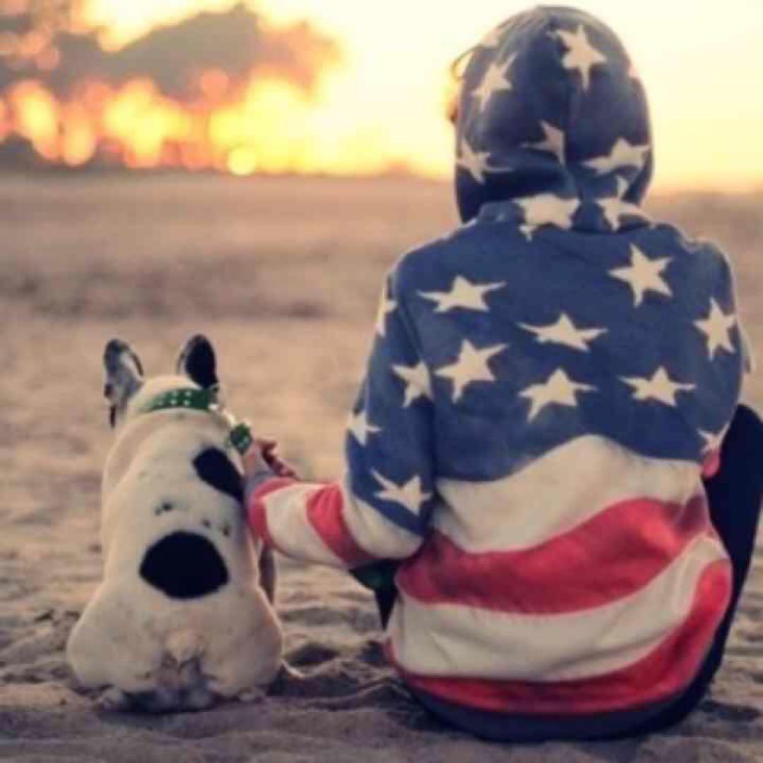 たぬきさん専用！ナルディステアリング！ステアリングボス、GMホーンボタン付 NARDI NARDIナルディLEADER(リーダー)ステアリング[外径350mm