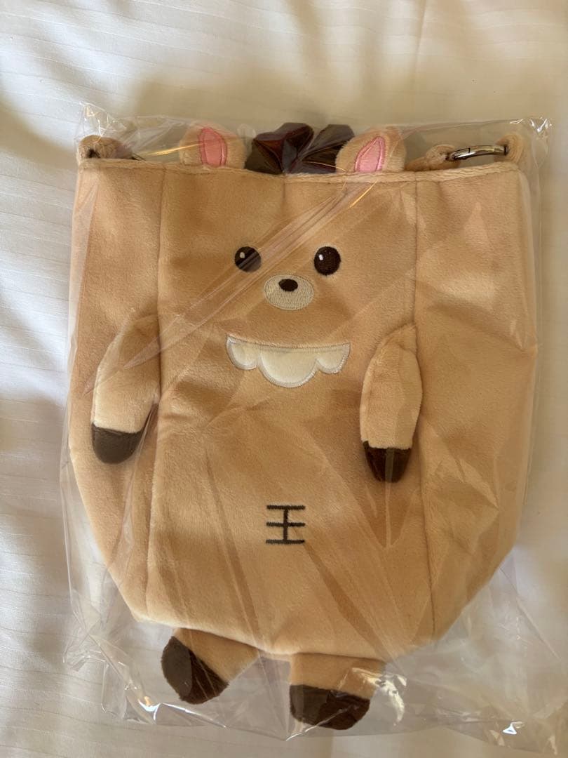 RIIZE RIIZING LOUD 東京ドーム ペンライトバッグ ソンチャン - メルカリ