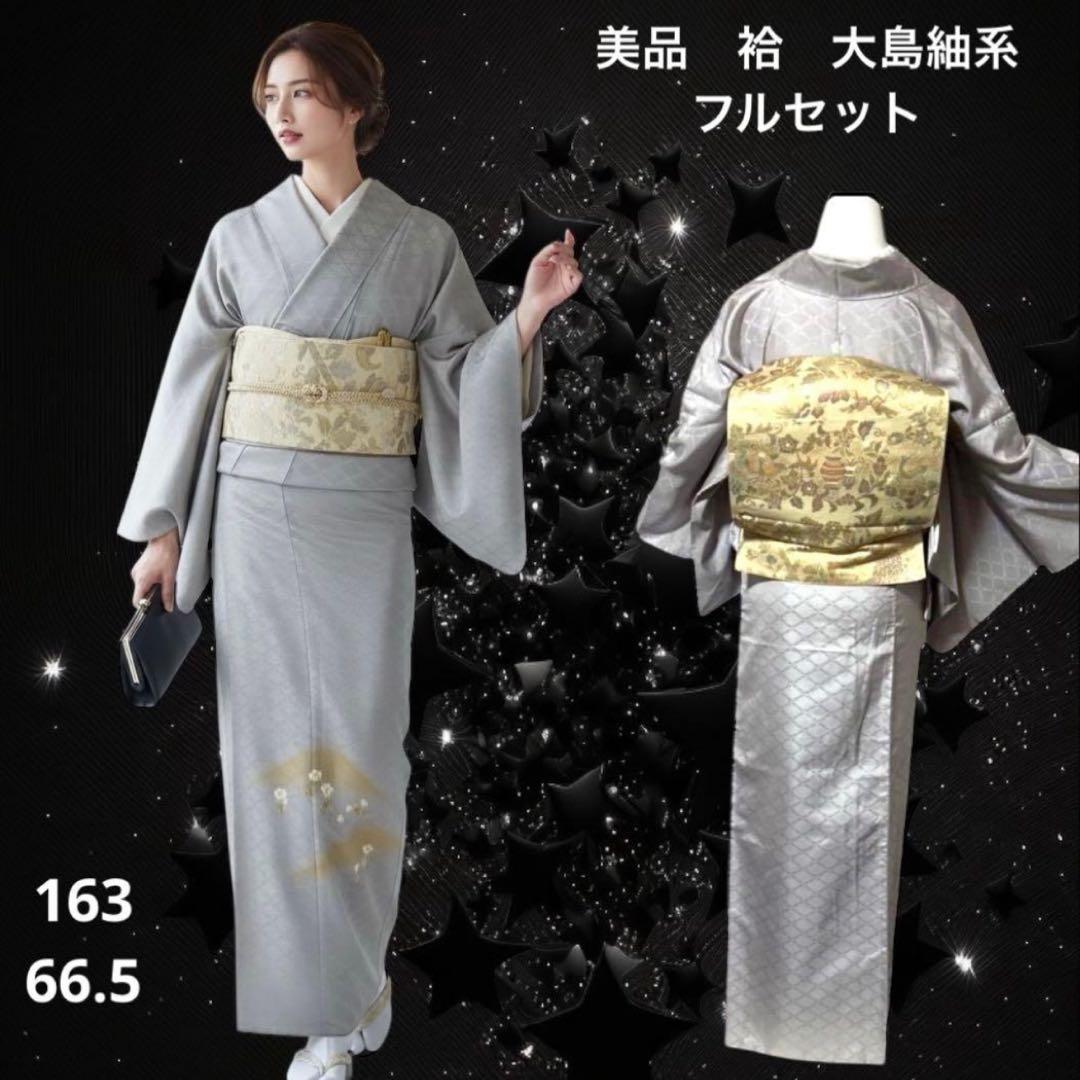 未使用近い　美品　袷　正絹　大島紬系　白山紬系　紋付　訪問着　フルセッ miyagawa-kimono_sb15191