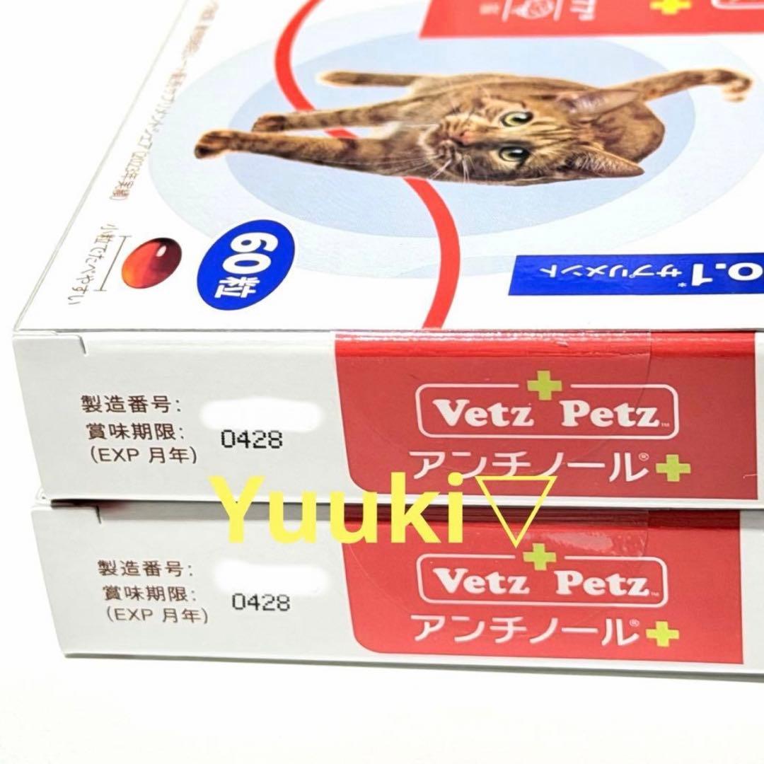 新品未開封】猫用 アンチノール プラス 60錠×2箱 - メルカリ
