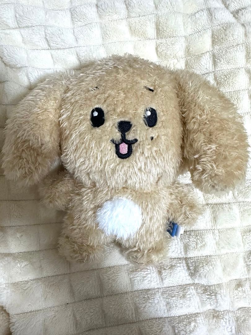 SEVENTEEN MINITEEN ドア DOA ぬいぐるみ プラッシュトイ SEVENTEEN - MINITEEN PLUSH TOY – Kpop Nara